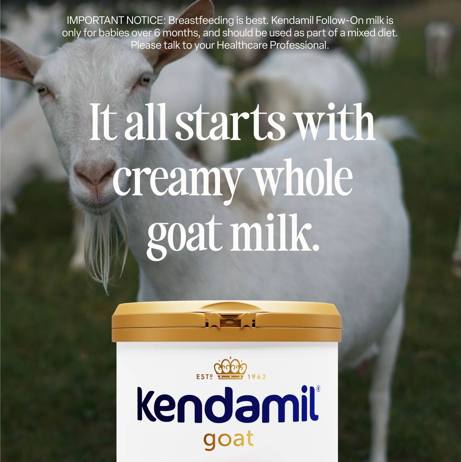 Goat First Infant Milk - Image 4